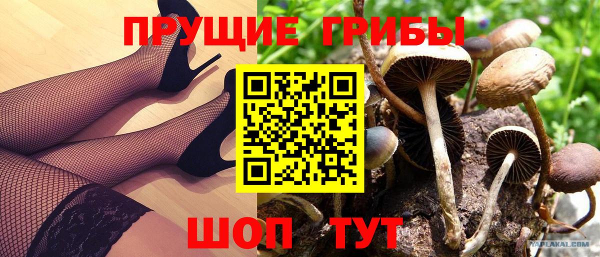 Галлюциногенные грибы Magic Shrooms  Галлюциногенные грибы Psilocybe  Вход с VPN  Черемхово 