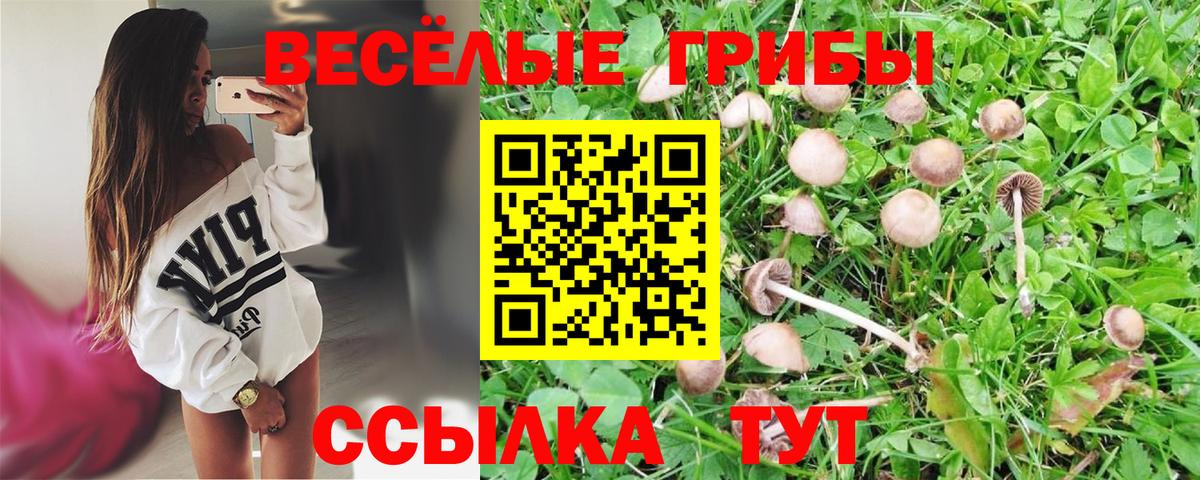 Псилоцибиновые грибы Psilocybine cubensis Черемхово